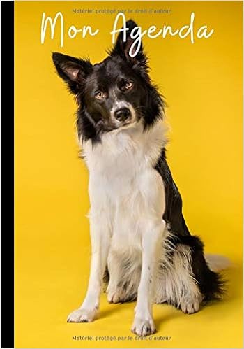 Mon Agenda Planning Mignon Chien Border Collie Agenda Par Semaines 60 Semaines Au Format 7 10 Pouces French Edition Mignon Agenda Amazon Com Books
