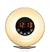 Bioxo Sunrise Simulation Alarm Clock, 5 Colors Atmosphere Lamp Wake-up Light, 3-Brightness Bedside Light, Touch Control Morning Alarm Light with Nature Sounds & FM Radio White