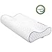 Anvo Memory Foam Pillow, Neck Contour Cervical Orthopedic Pillow for Sleeping Side Back Stomach Sleeper, Ergonomic Bed Pillow for Neck Pain - Blue White, Soft