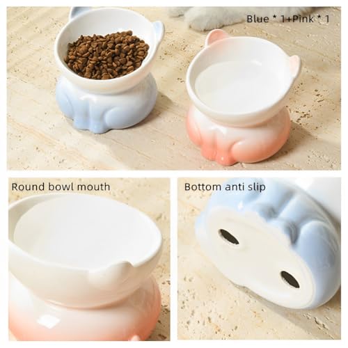 Beauenty 2 Pcs Ceramic Elevated Cat Bowls - Tilted Raised Cat Bowl Anti Vomit Cat Food Bowls for Indoor Cats, Whisker Friendly Design, Microwave & Dishwasher Safe