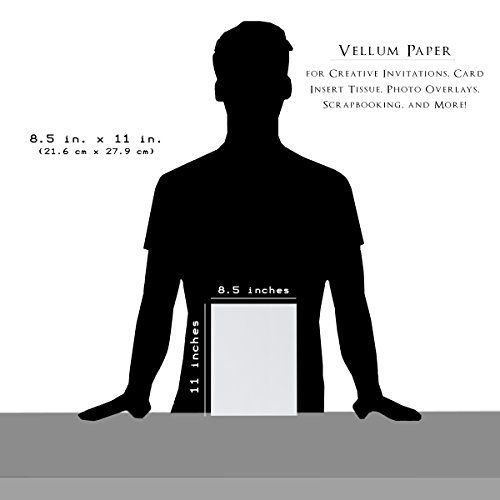 100 Sheets Pack Vellum Paper Value Pack - White Translucent Sketching and Tracing Paper - 8.5 x 11 Inches - Traditional Comic Drawing Animation Paper - 100 Pieces