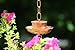 Marrgon Copper Gutter Adapter with Rain Chain Hanger Clip for Decorative Chimes, Cups & Bells Serves as 2 Inch Rain Chain Installer for Downspout Outlet & Water Diverter for Gorgeous Fountain Display