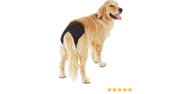 so phresh washable diaper