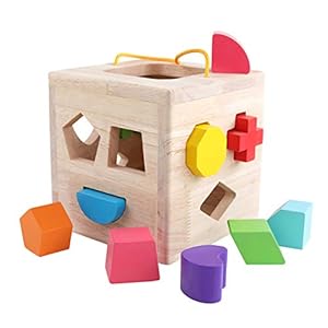 GEMEM Shape Sorter Toy My First Wooden 12 Building Blocks Geometry Learning Matching Sorting Gifts Didactic Classic Toys…
