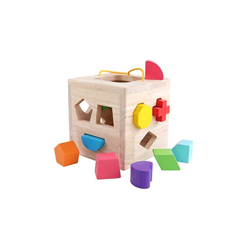 GEMEM Shape Sorter Toy My First Wooden 12 Building Blocks Geometry Learning Matching Sorting Gifts Didactic Classic Toys…