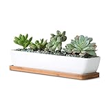 11inch Long Rectangle White Ceramic Succulent Planter Pots/Mini Flower Plant Containers with Bamboo Saucers. Product Size:11x2.36x1.77inch,not Include The Plant. (Long Rectangle)