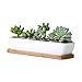 11inch Long Rectangle White Ceramic Succulent Planter Pots/Mini Flower Plant Containers with Bamboo Saucers. Product Size:11x2.36x1.77inch,not Include The Plant. (Long Rectangle) primary