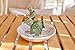 PUDDING CABIN Cactus Christmas Gifts for Women Cactus Ring Holder Dish Birthday Gifts for Women Girls Friends, Cactus Decor for Bathroom Nighstand, Wedding Valentine's Day Xmas Gifts Mothers Day Gifs