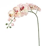 1 Piece Simulation Butterfly Orchid Artificial Flower Plant Home Decoration