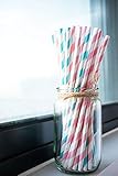 Pink and Baby Blue Paper Drinking Straws Party Supplies Bulk 100PCS Stripe Disposable ECO Straws Baby Girl/ Boy Shower Birthday Wedding Bridal Shower Gender Reveal Party Celebrations Decorations