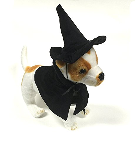 Halloween Witch Cape and Hat Dog Costume by Midlee