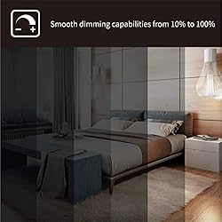 DYMOND LED Ceiling Light Flush Mount 10 Inches