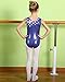 BAOHULU Gymnastics Leotards for Toddler Girls Patriotic Sparkle Red Blue Athletic Dancewear