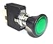 Fastronix Push/Pull Switch with Green LED Indicator
