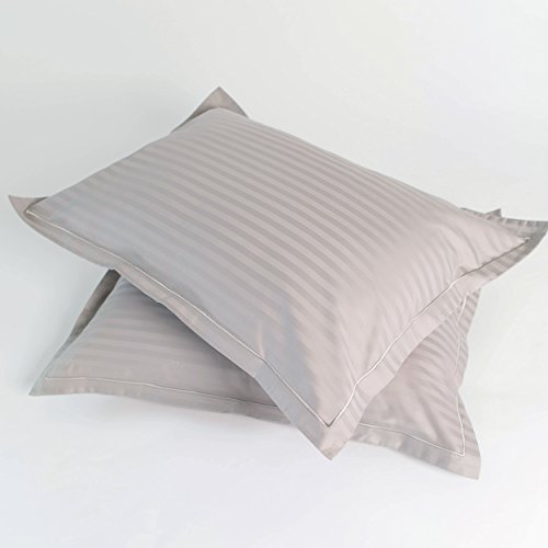 300 TC Cotton Color Dorm Bonus Shams - 1 CM Damask Stripe - Perfect For College and College Decor - Available in Orchid Pink, Steel Gray & Tan/Gold (Steel Gray)