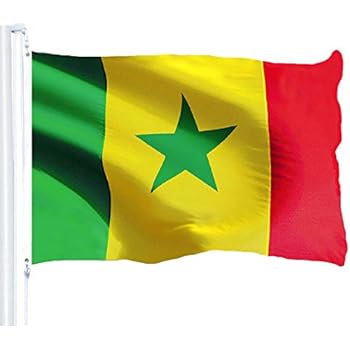 Download Amazon.com : G128 - Senegal Senegalese Flag 3x5 ft Printed Brass Grommets 150D Quality Polyester ...