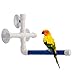 Pet Parrot Bath Perches Standing Platform Rack Suction Cup Window Shower Bird Bath Toys