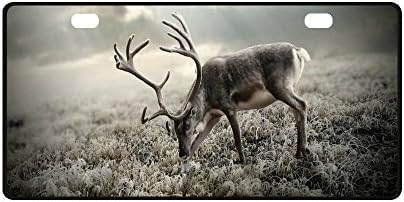 Best Design Wild Deer Forest Durable Metal License Plate Frame for Women/Men Two Holes Car Tag (New) 11.8" X 6.1"