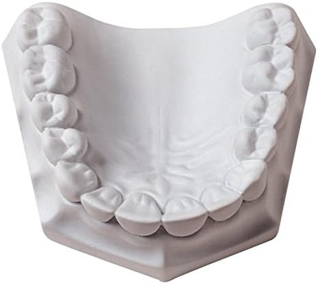 WHIPMIX - Orthodontic Plaster 50#/22kg - # 31836 119738 Us Dental Depot