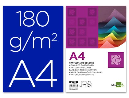 liderpapel CT06 – Pack of 100 Card