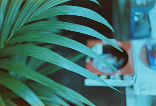FilmWholesale 400FW 35mm Film 135-12 Color Experimental Expired Test ((10-Rolls))