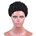 TINY LANA Afro Wigs Curly Hair Wigs for Black Woman Short Kinky Wig with Brazilian Remy Human Hair Black Perruque Afro Naturelle Wigs + Free Wig Cap