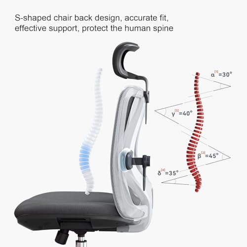 SIHOO Ergonomic Office Chair Computer Chair Desk Chair, Adjustable Headrests Chair Backrest and Armrest's Mesh Chair (2 Packs Black)