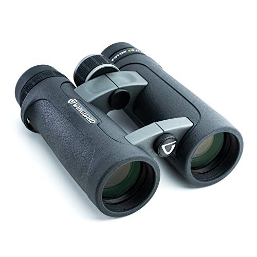 Vanguard Endeavor ED II 10x42 Binocular with Premium Hoya ED Glass, Waterproof/Fogproof (Best German Made Binoculars)