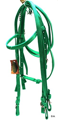 D.A. Brand Bright Green Poly Extra Full Horse Bridle Horse Tack Equine