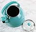 Calypso Basics by Reston Lloyd Harmonic Hum Whistling Teakettle with Glass Lid, 2.2-Quart, Turquoise