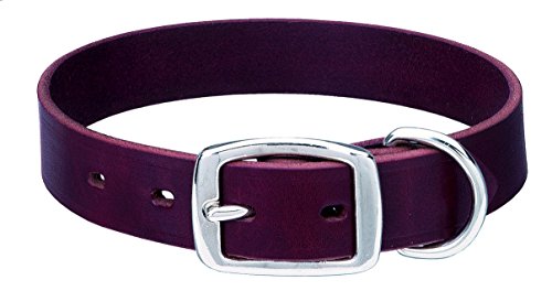 Weaver Leather 1" x 21" Heritage Choice Collar, Large, Burgundy