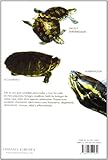 Image de Tortugas acuaticas / Aquatic Turtles (Manuales Del Terrario) (Spanish Edition)