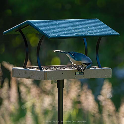 Birds Choice Bluebird House Pole Set, 54 inch Pricepulse