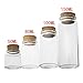 ELYSAID 2pcs Empty Clear Glass Bottles Vials with Cork Stopper Storage Jars 47mm Bottle Diameter (47x70x33mm 80ml)