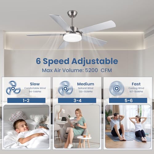 Newday 52" Ceiling Fan with Light and Silver Remote Control, Reversible 5 Ceiling Shovel with Dimmable Light, Large Silent Ceiling Fan for Living Room, Bedroom, Kitchen, Terrace