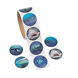 200 Realistic SHARK Stickers - COOL Photo SHARKS (2 Rolls of 100) Party Teacher Classroom ACTIVITY - SCIENCE NATURE OCEAN Shark Week