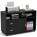 Tribesigns Wood File Cabinet, 2 Drawer Storage Printer Stand, Mobile Lateral Filing Cabinet with Locks and Wheels, Open Storage Shelves for Study, Home Office (Black)