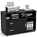 Tribesigns Wood File Cabinet, 2 Drawer Storage Printer Stand, Mobile Lateral Filing Cabinet with Locks and Wheels, Open Storage Shelves for Study, Home Office (Black)