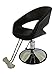 Oval Barber Chair Comfort Styling Salon Beauty Equipment - DS-SC4001
