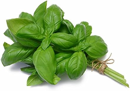 Organic Basil, 0.25 oz Clamshell