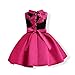 AYOMIS Flower Girl Pageant Dress Kids Party Embroidery Wedding Dresses 2-9 Years(Hot Pink,8-9Y)