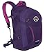 Osprey Packs Perigee Daypack, Mariposa Purple