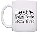Dog Lover Gifts Best Boston Terrier Mom Ever Animal Pet Owner Rescue Gift Coffee Mug Tea Cup White