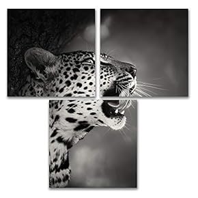 for Living Room Bedroom Home Artwork Animal Paintings x3 Panels