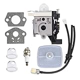 Hipa SRM 225 Carburetor for Echo SRM225 GT225 GT225i PE225 PAS225 SHC225 PPF225 SRM225i SRM225SB SRM225U GT225L GT225SF PPF235ES PPT235ES SHC225S Trimmer Weedeater Parts with Tune Up Kit Air Filter
