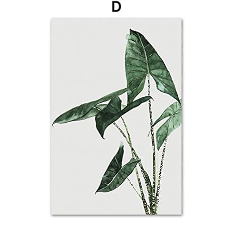 Gummibaum Tropische Pflanze Frische Blatt Wandkunst Leinwand Malerei Nordic Poster Und Drucke Wandbilder Für Wohnzimmer Dekor