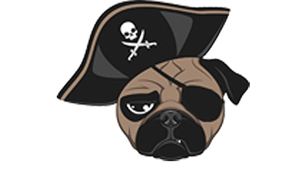 pug with eye patch