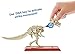 JURASSIC WORLD STEM FOSSIL STRIKERS Stygimoloch 