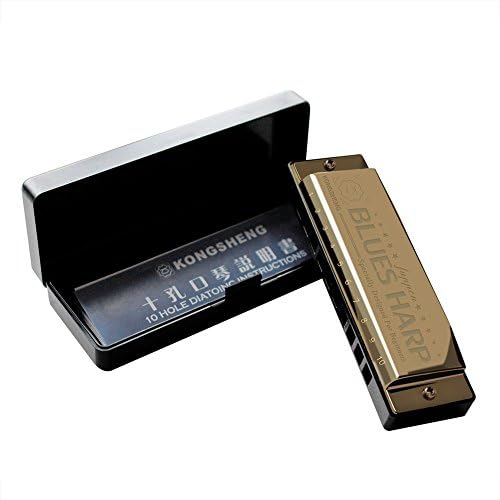 Diatonic Harmonica Standard 10 Hole Blues Harmonica with Case, Key of C