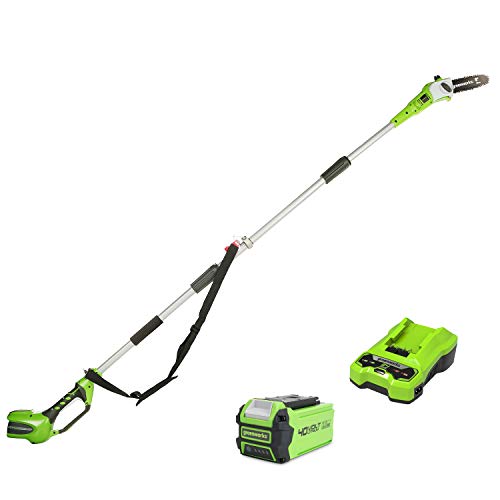 Greenworks Tools Akku-Hochentaster (Li-Ion 40V 20cm Schwertlänge 8 m/s Kettengeschwindigkeit Teleskop-Alustange 3-teilig…
